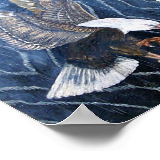 Bald Eagle Scratch Poster (Hoek)