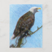 Bald Eagle Screaming in a Tree Briefkaart (Voorkant)