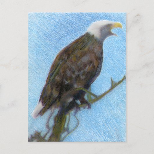 Bald Eagle Screaming in a Tree Briefkaart (Voorkant)