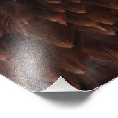 Bald Eagle Screech Foto Afdruk (Hoek)