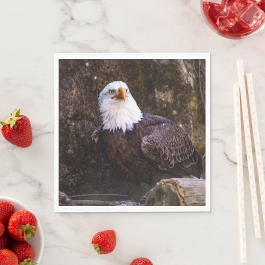 Bald Eagle Servet (Insitu)