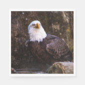 Bald Eagle Servet (Voorkant)