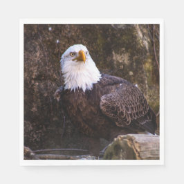 Bald Eagle Servet