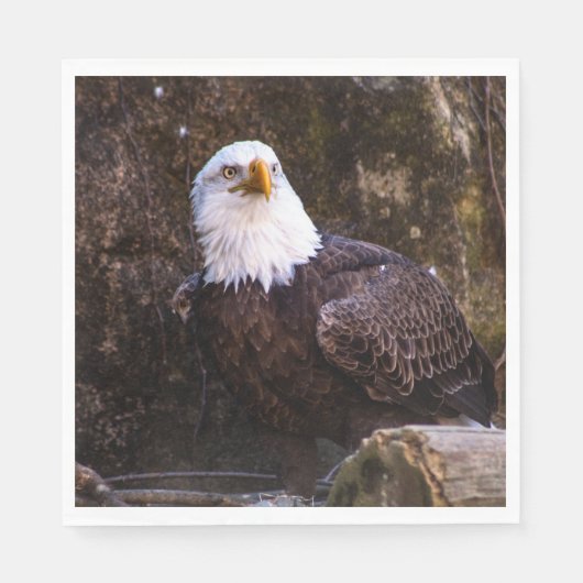Bald Eagle Servet (Voorkant)
