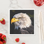 Bald Eagle Servet (Insitu)