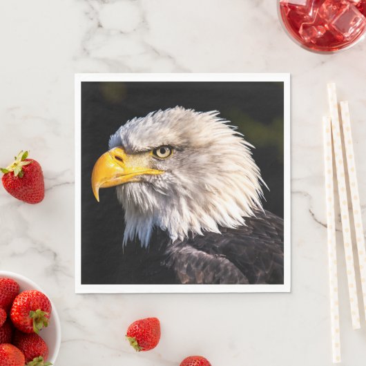 Bald Eagle Servet (Insitu)