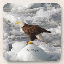 Bald Eagle set van 6 plastic onderzetters