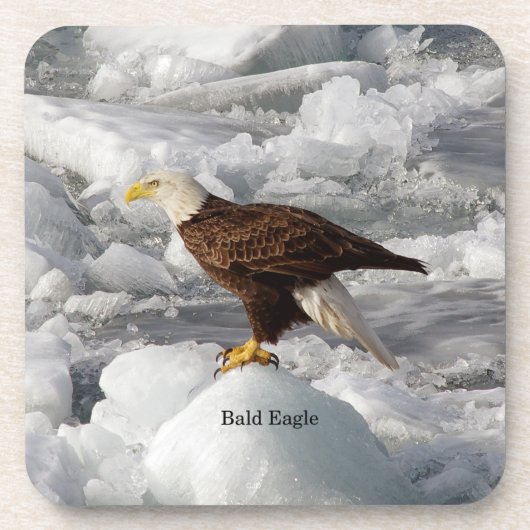 Bald Eagle set van 6 plastic onderzetters (Voorkant)
