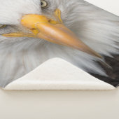 Bald Eagle Sherpa Deken (3/4)