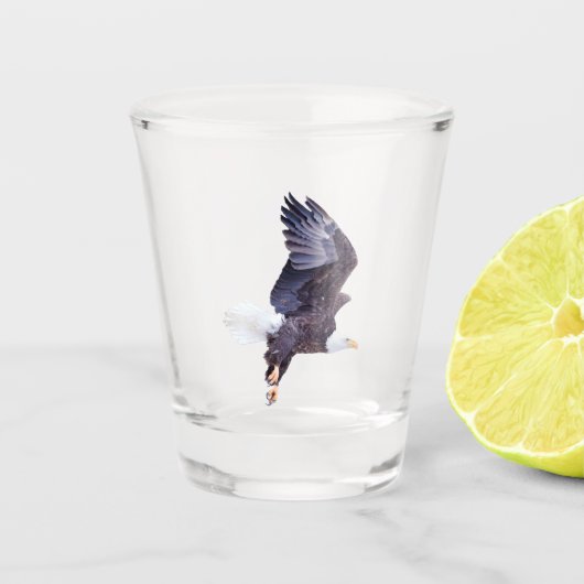 Bald Eagle Shot Glas (Voorkant)