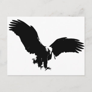 Bald Eagle Silhouette Briefkaart