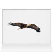 Bald Eagle Sky High (Binnen Horizontaal (Boven))