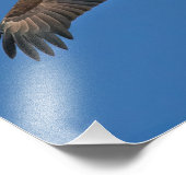 Bald Eagle Sky High Foto Afdruk (Hoek)