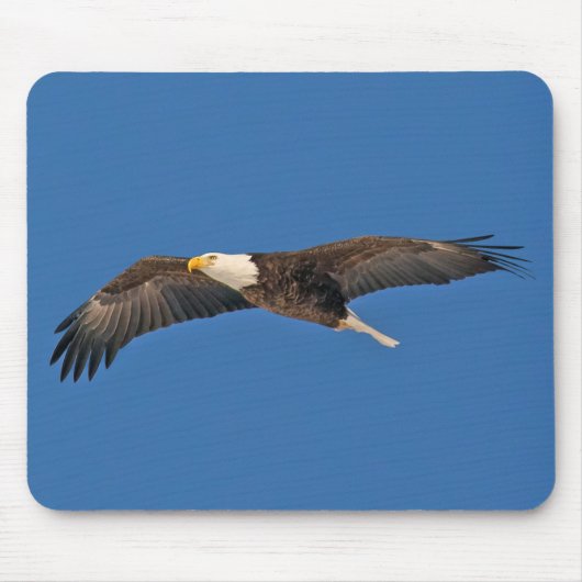 Bald Eagle Sky High Muismat (Voorkant)