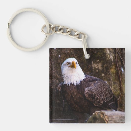 Bald Eagle Sleutelhanger (Voorkant)
