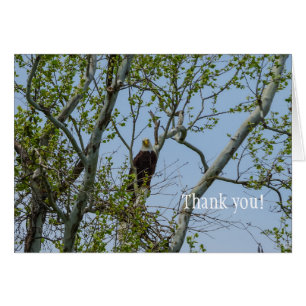 Bald Eagle Smile Bedankt