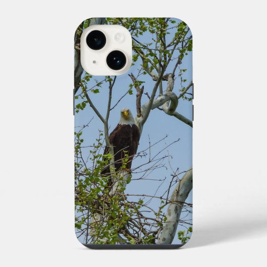 Bald Eagle Smile iPhone Case Hoesje (Achterkant)