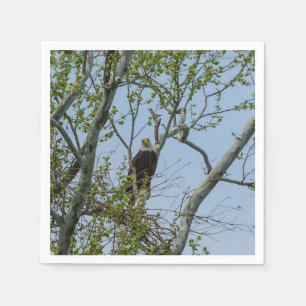 Bald Eagle Smile Servet