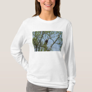 Bald Eagle Smile T-shirt