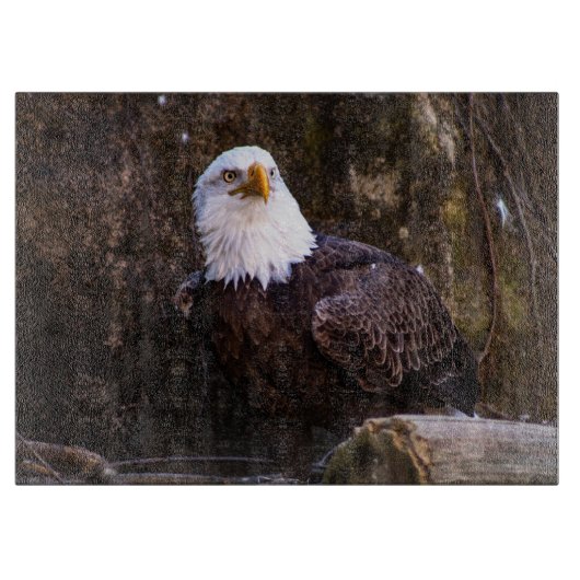 Bald Eagle Snijplank (Voorkant)