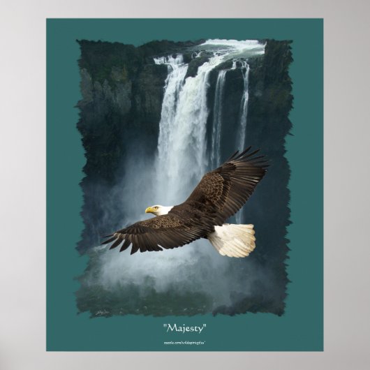 Bald Eagle & Snoqualmie Waterval Natuur-thema Poster (Voorkant)