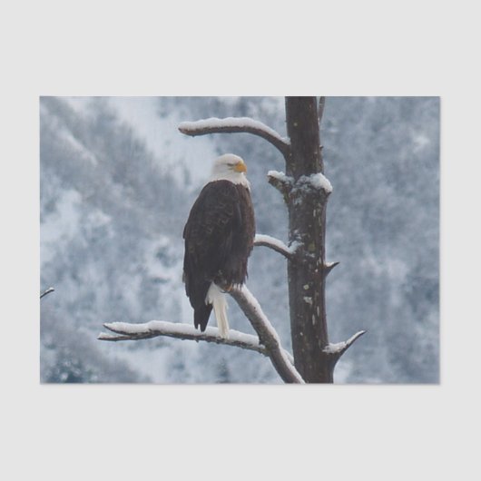 Bald Eagle Snow Photo Tissuepapier (Voorkant)