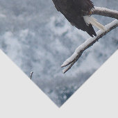 Bald Eagle Snow Photo Tissuepapier (Detail)