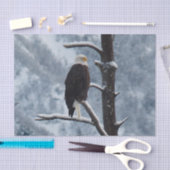 Bald Eagle Snow Photo Tissuepapier (Craft)
