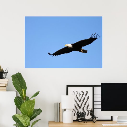 Bald Eagle Soar Poster (Thuiskantoor)