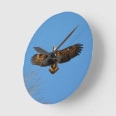 Bald Eagle Soaring1 Ronde Klok (Hoek)