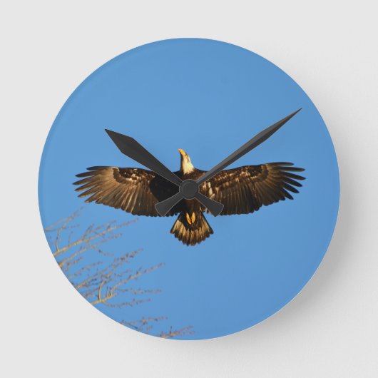 Bald Eagle Soaring1 Ronde Klok (Voorkant)