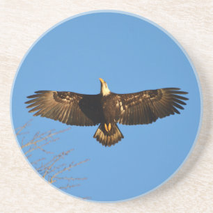 Bald Eagle Soaring1 Zandsteen Onderzetter