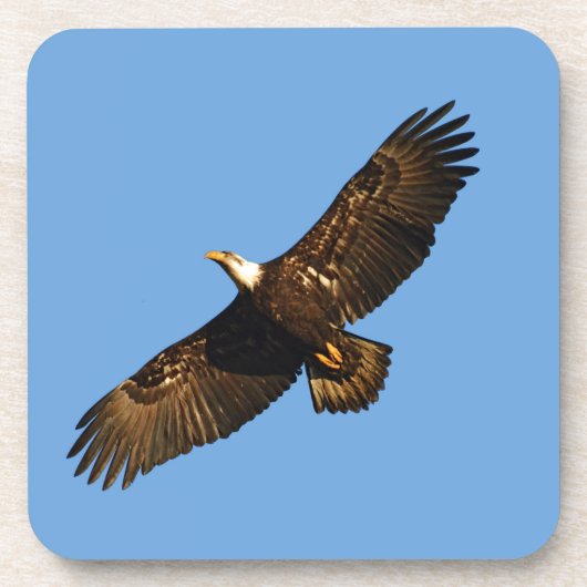 Bald Eagle Soaring 2 Onderzetter (Voorkant)
