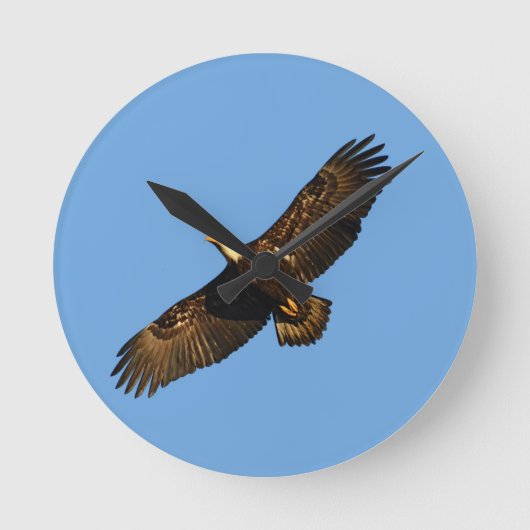 Bald Eagle Soaring 2 Ronde Klok (Voorkant)