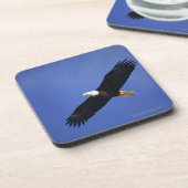 Bald eagle soaring, Alaska Onderzetter (Linkerzijde)