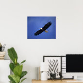 Bald eagle soaring, Alaska Poster (Thuiskantoor)