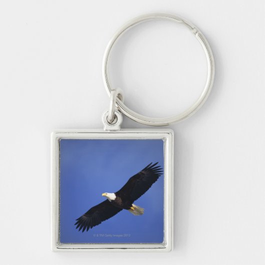 Bald eagle soaring, Alaska Sleutelhanger (Voorkant)