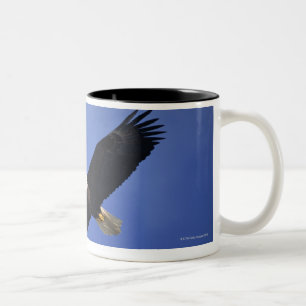 Bald eagle soaring, Alaska Tweekleurige Koffiemok