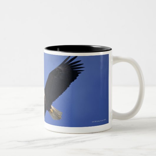 Bald eagle soaring, Alaska Tweekleurige Koffiemok (Rechts)