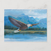 Bald Eagle Soaring Briefkaart (Voorkant)