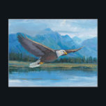 Bald Eagle Soaring Briefkaart<br><div class="desc">Bald Eagle Soaring Artist: Tim OToole</div>