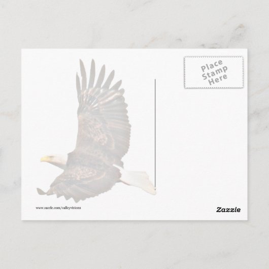 Bald Eagle Soaring Briefkaart (Achterkant)