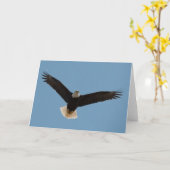 Bald Eagle Soaring-Frameable Art Card Kaart (Gele Bloem)