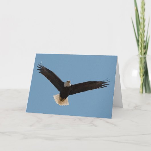 Bald Eagle Soaring-Frameable Art Card Kaart (Voorkant)