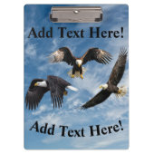 Bald Eagle Soaring Klembord (Voorkant)
