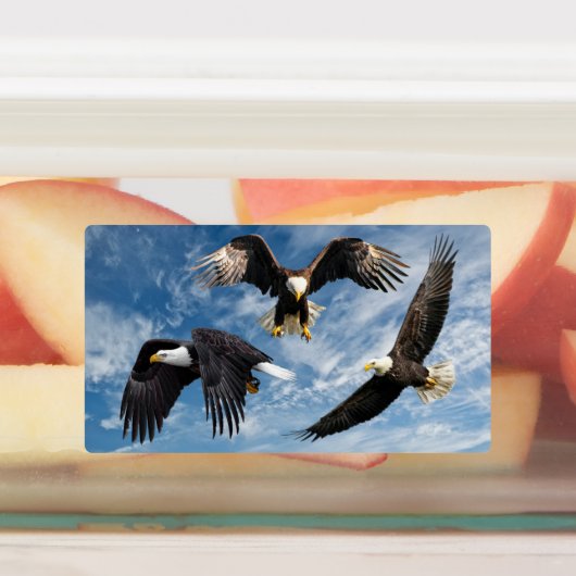 Bald Eagle Soaring Labels (Aangebracht)