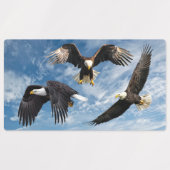 Bald Eagle Soaring Labels (Design 1)