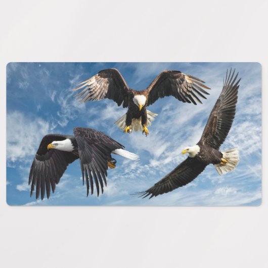 Bald Eagle Soaring Labels (Design 1)