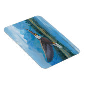 Bald Eagle Soaring Magneet (Rechterzijde)