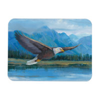 Bald Eagle Soaring
